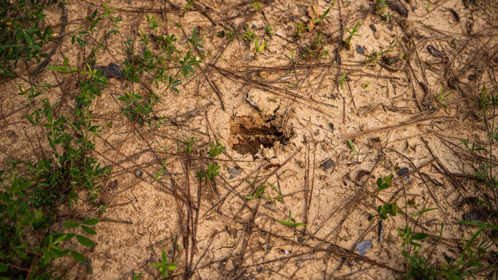 2 Cemetary Road Ecru, MS 38841 - Photo 26 of 39 Photo 26
