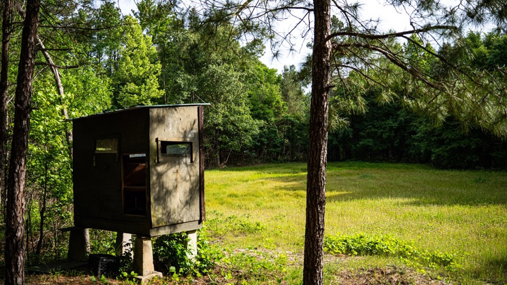 2 Cemetary Road Ecru, MS 38841 - Photo 27 of 39 Photo 27