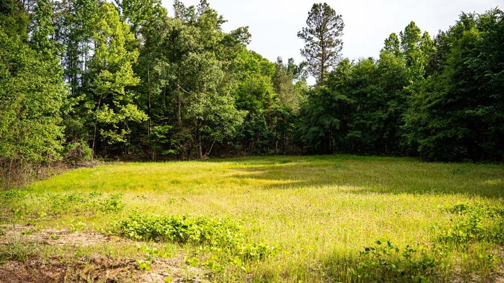 2 Cemetary Road Ecru, MS 38841 - Photo 28 of 39 Photo 28