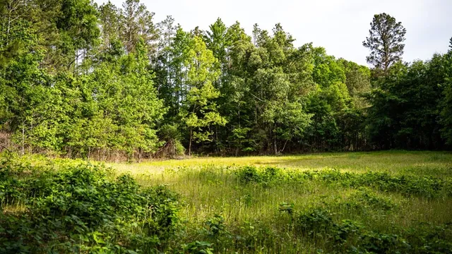 $825,000 | 2 Cemetary Road, Ecru, MS 38841