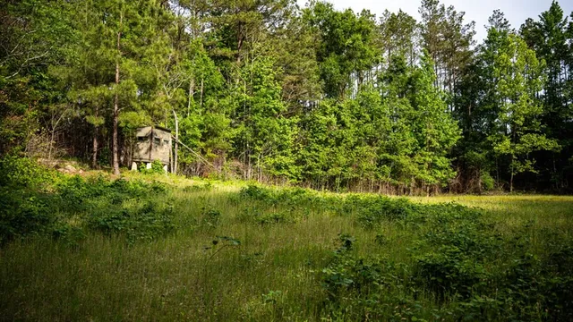 $825,000 | 2 Cemetary Road, Ecru, MS 38841