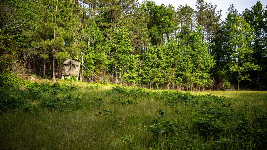 2 Cemetary Road Ecru, MS 38841 - Photo 30 of 39 Photo 30