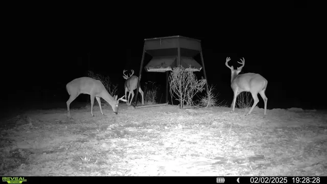 $825,000 | 2 Cemetary Road, Ecru, MS 38841