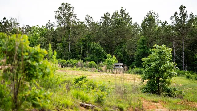 $825,000 | 2 Cemetary Road, Ecru, MS 38841