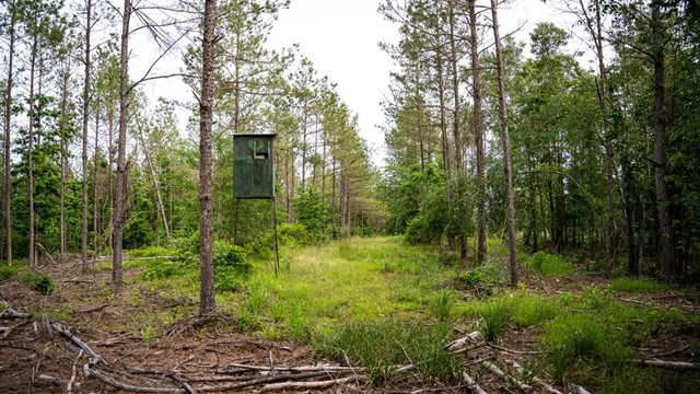 $825,000 | 2 Cemetary Road, Ecru, MS 38841