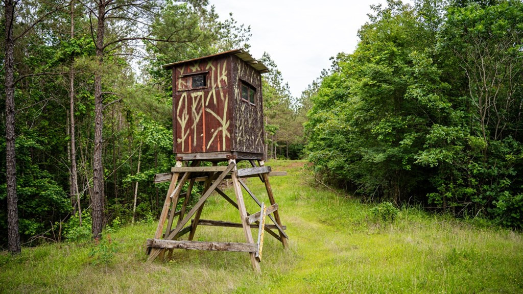 2 Cemetary Road Ecru, MS 38841 - Photo 38 of 39 Photo 38
