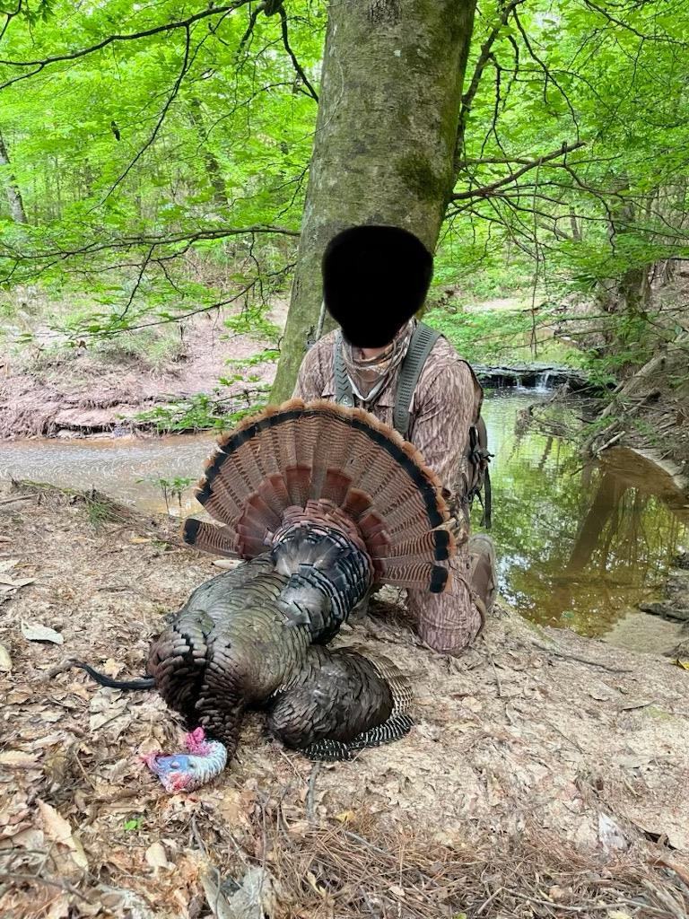 2 Cemetary Road Ecru, MS 38841 - Photo 39 of 39 Photo 39