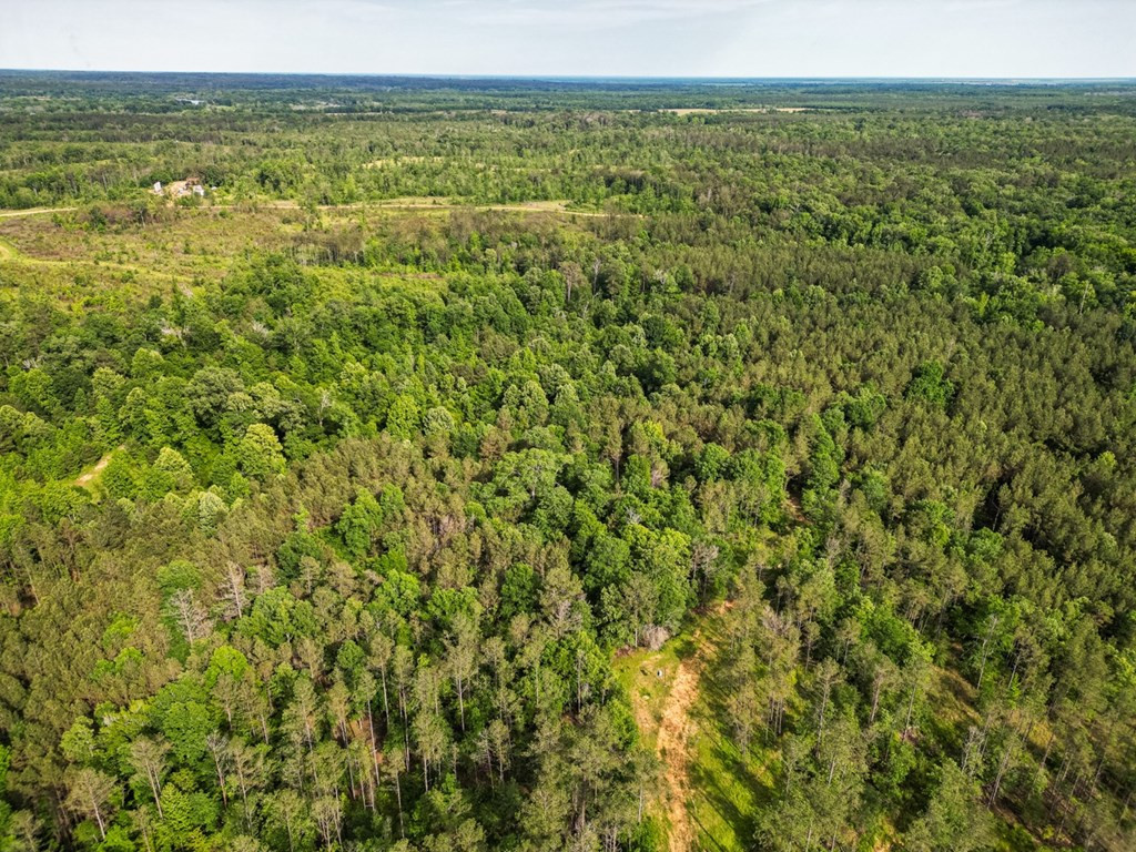 2 Cemetary Road Ecru, MS 38841 - Photo 6 of 39 Photo 6