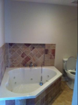 725 Arizona Pass Elk Grove Village, IL 60007 - Photo 8 of 11 a bathroom with a bathtub