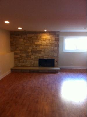 725 Arizona Pass Elk Grove Village, IL 60007 - Photo 10 of 11 an empty room with a fireplace
