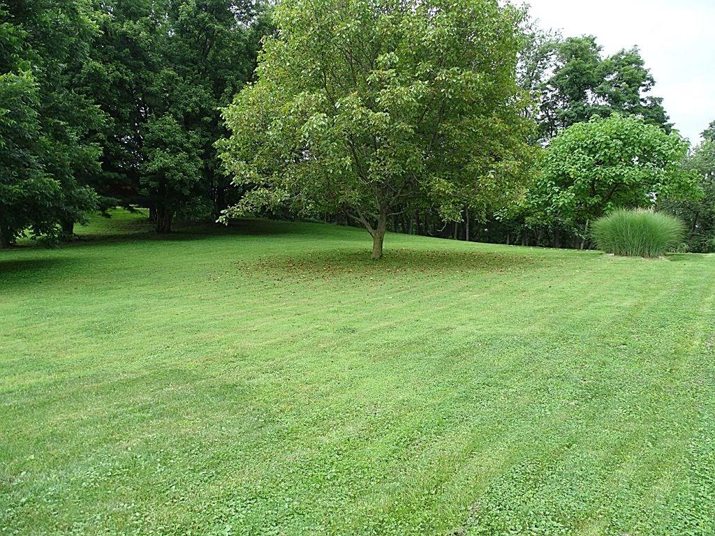 104 McBride Road Canonsburg, PA 15317 - Photo 22 of 25 Fabulous Side Yard & Front Yard