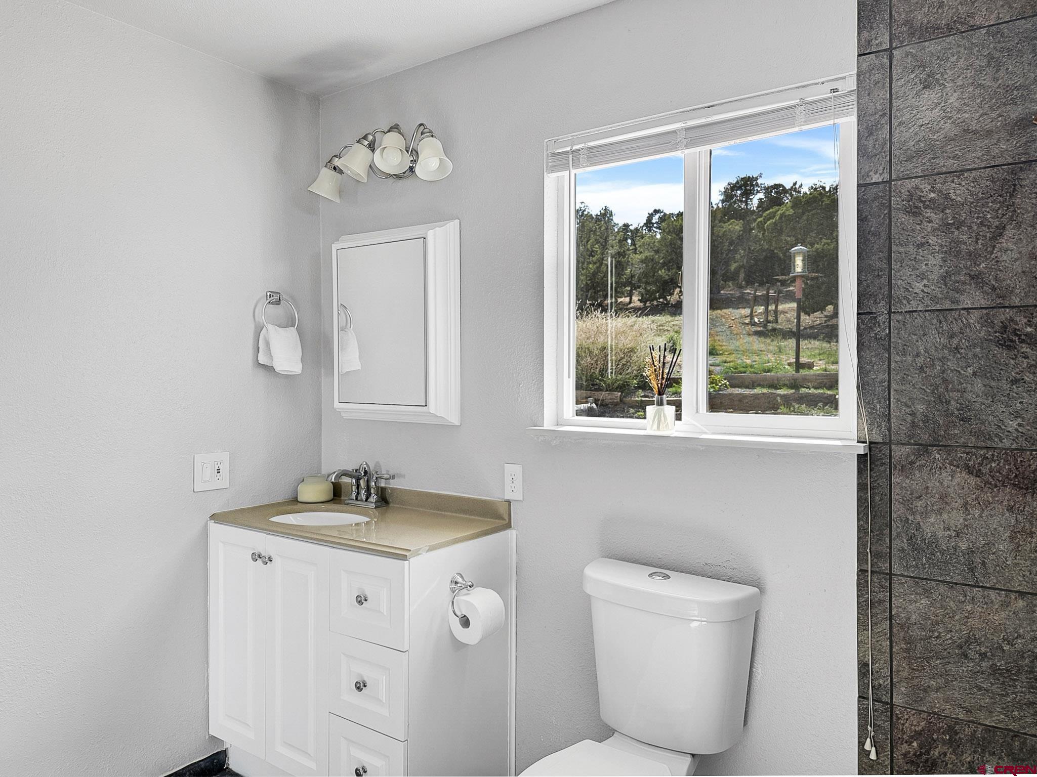 32310 B50 Road Crawford, CO 81415 - Photo 22 of 45 a bathroom with a toilet sink and mirror