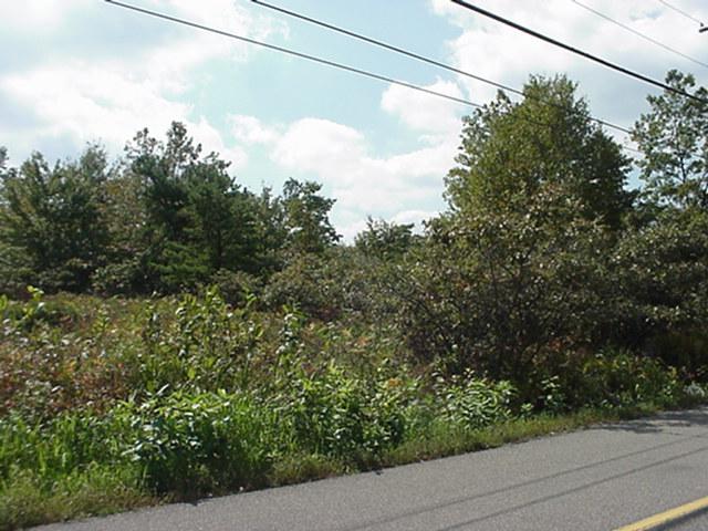 5 Stoney Mtn Road Jim Thorpe, PA 18229 - Photo 1 of 1 road view