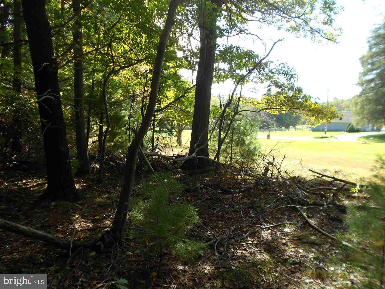 Lot 2 New Road Orrtanna, PA 17353 - Photo 8 of 9 Gallery Image 8