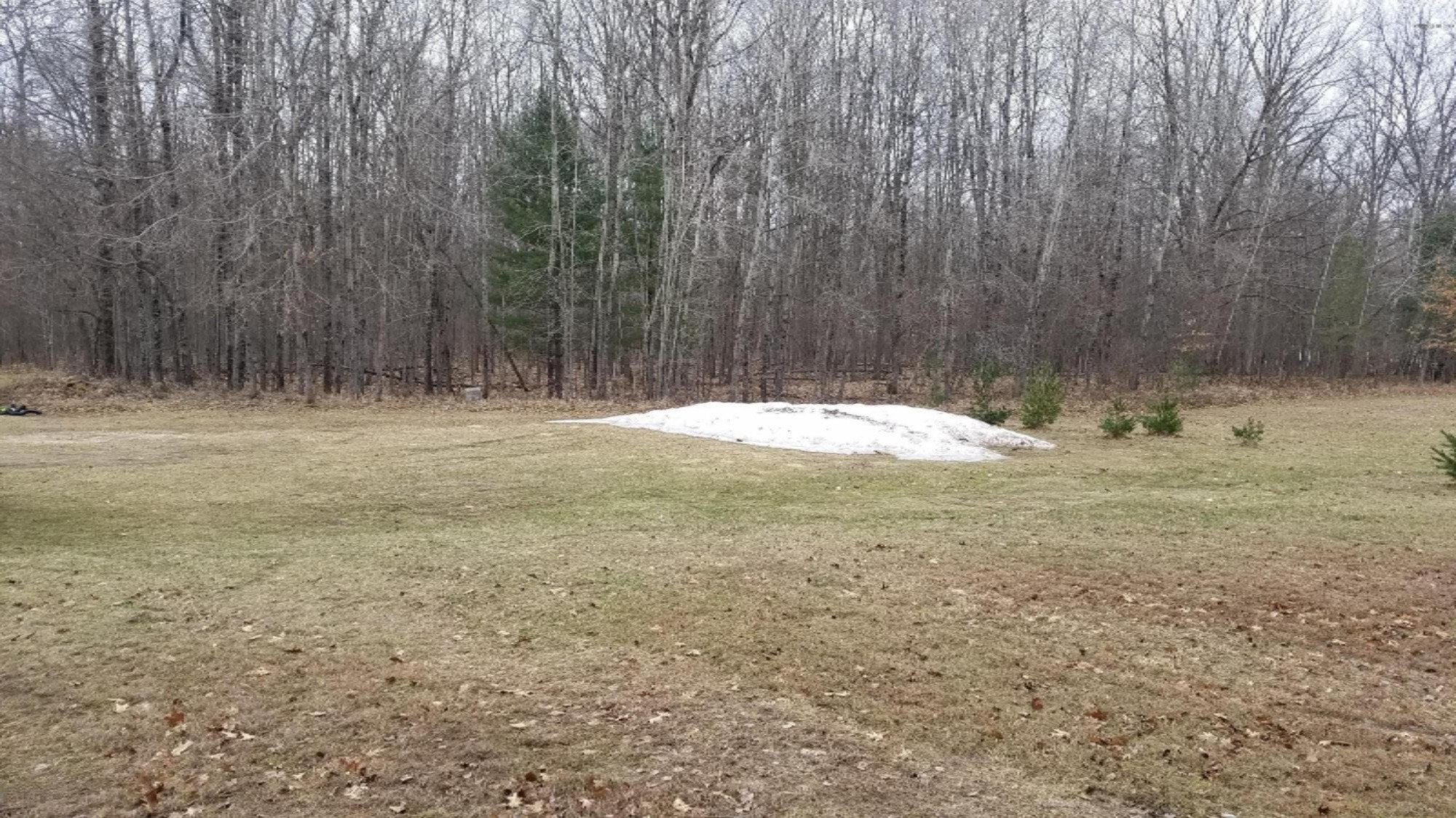 Lot # Washington Road Branch, MI 49402 - Photo 8 of 19 20190410_110954