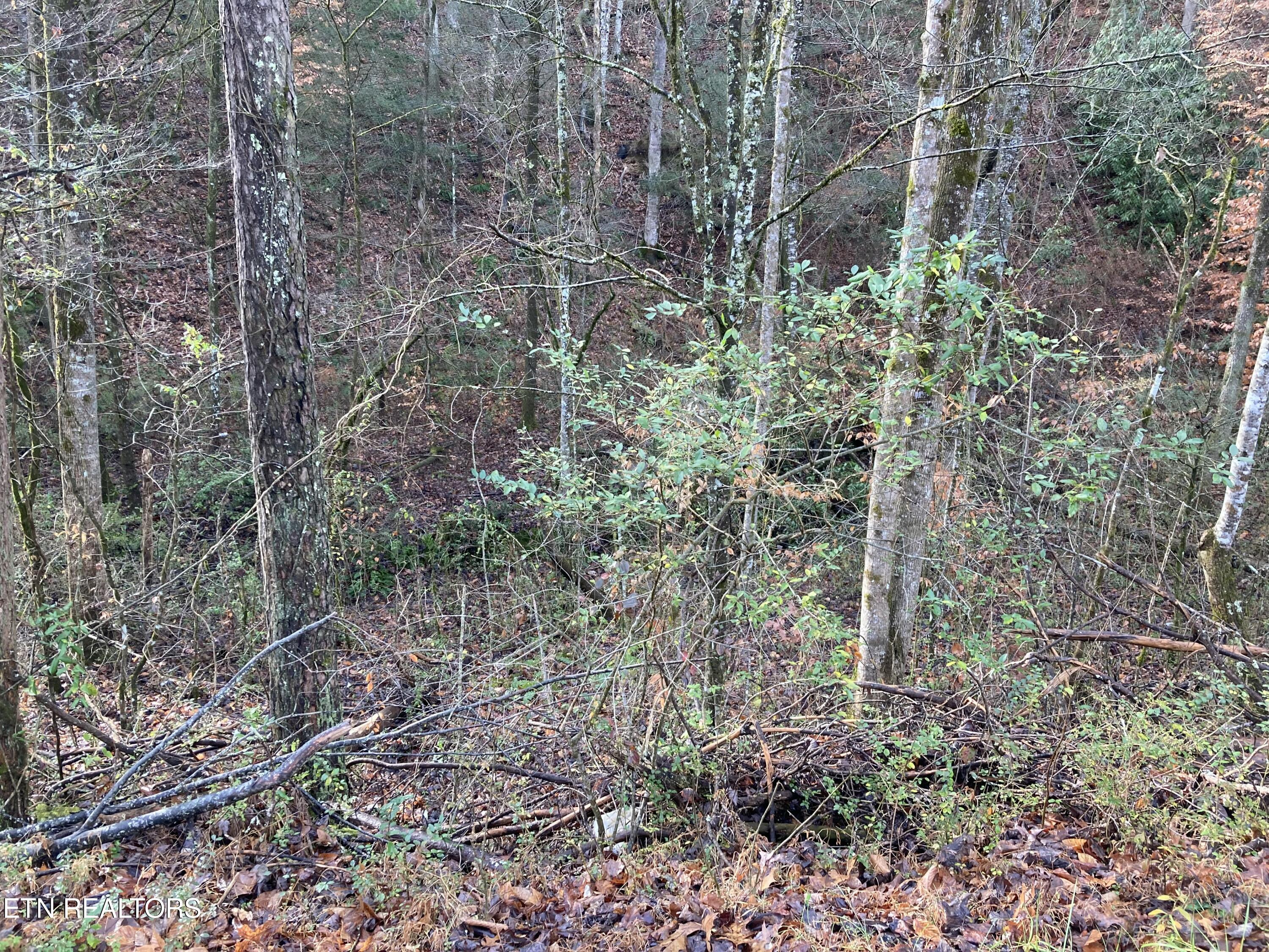Lot 53 Fiesta Boulevard Sevierville, TN 37876 - Photo 2 of 4 tempImageyxlEqA