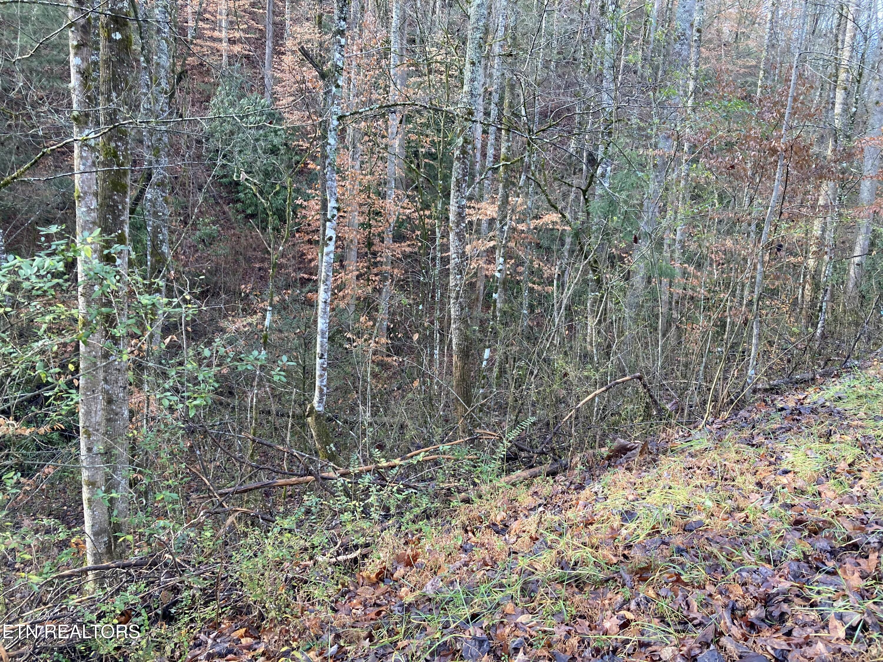Lot 53 Fiesta Boulevard Sevierville, TN 37876 - Photo 3 of 4 tempImagelTtqOC