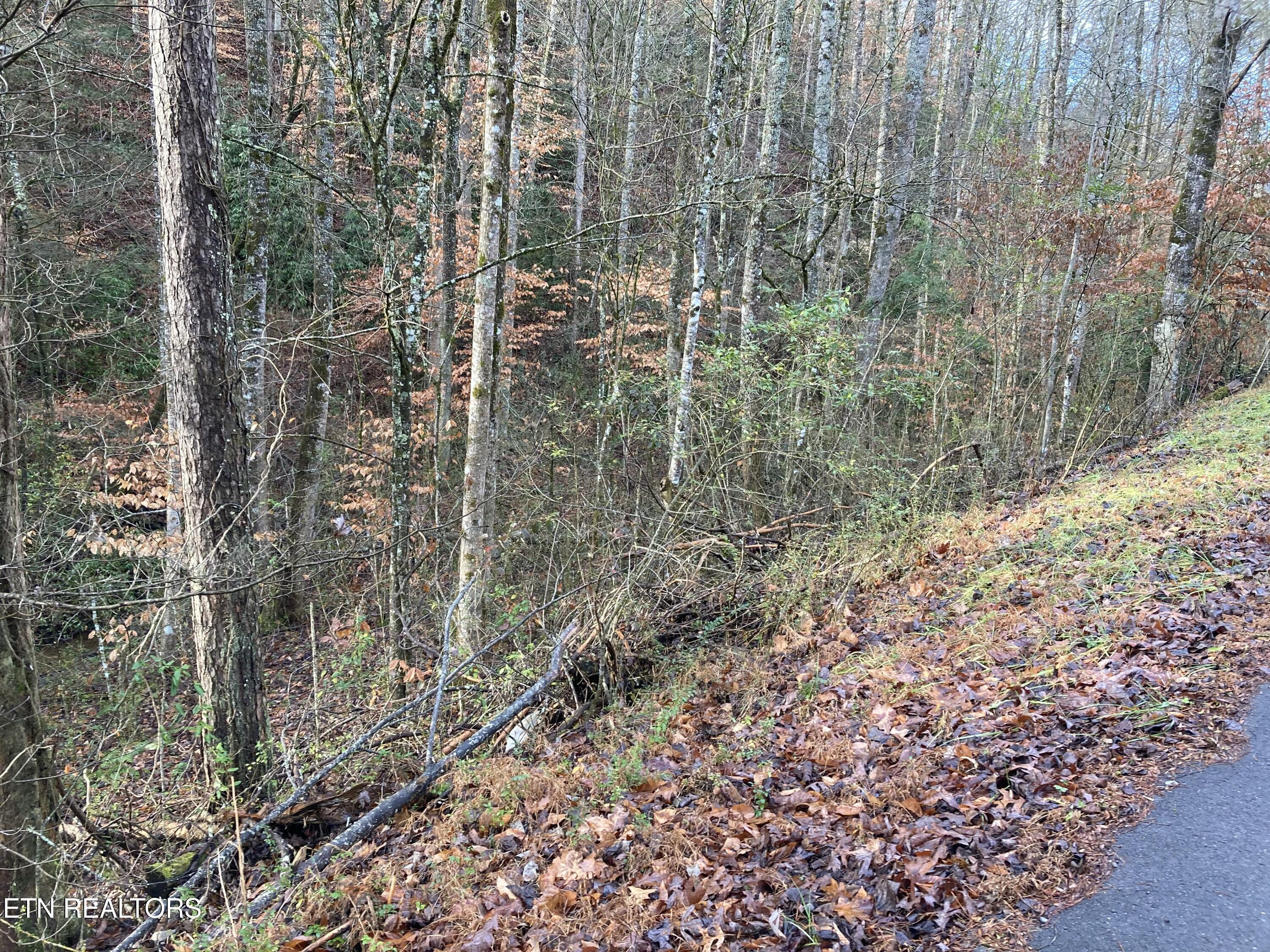 Lot 53 Fiesta Boulevard Sevierville, TN 37876 - Photo 4 of 4 tempImageonVB6M