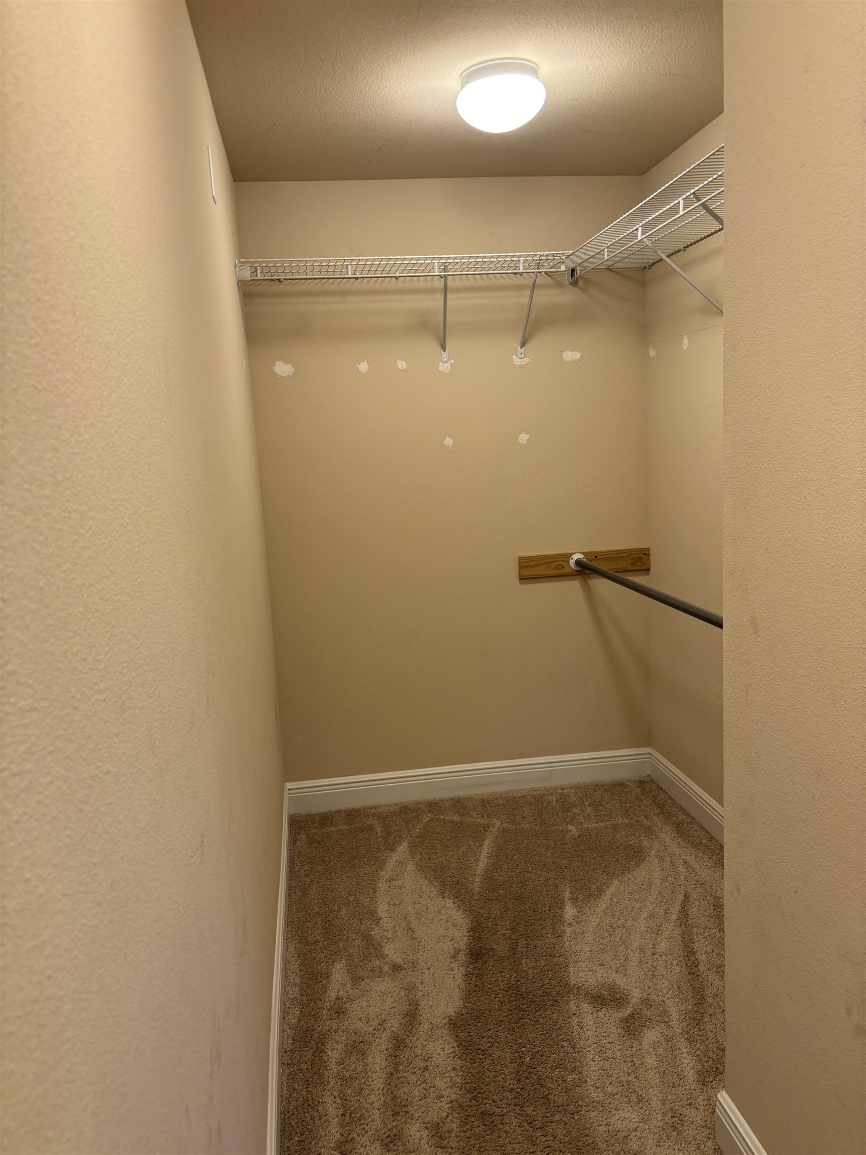16141 Trace Drive Loxley, AL 36551 - Photo 16 of 26 Walk In Closets