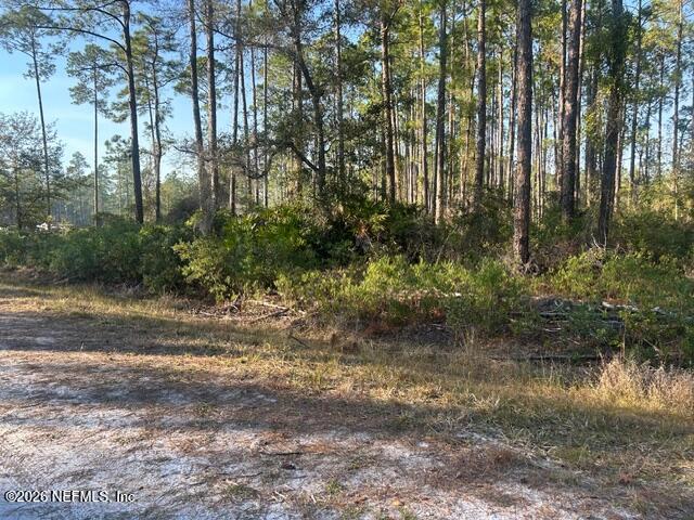 128 Carteret Road Georgetown, FL 32139 - Photo 3 of 7 a view of a yard with plants and trees