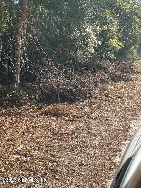 128 Carteret Road Georgetown, FL 32139 - Photo 7 of 7 a view of a yard