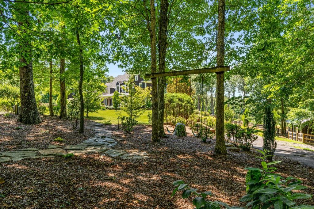 254 Nicholson Road Blue Ridge, GA 30513 - Photo 78 of 86 a view of outdoor space with trees