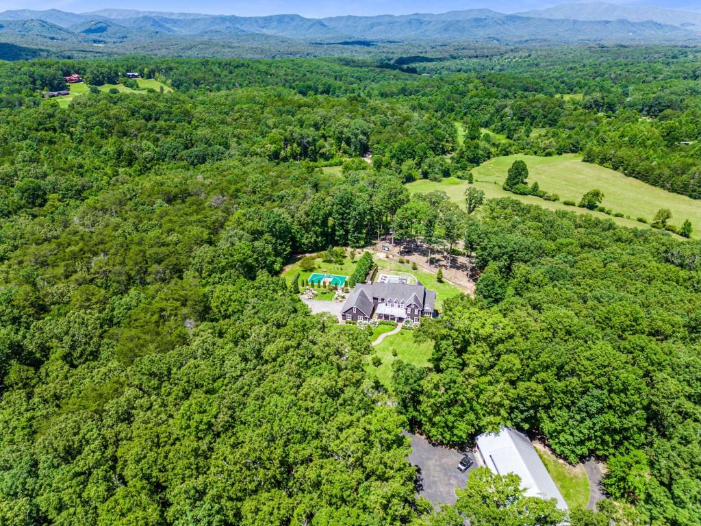 254 Nicholson Road Blue Ridge, GA 30513 - Photo 86 of 86 a aerial view of a house with a lush green forest