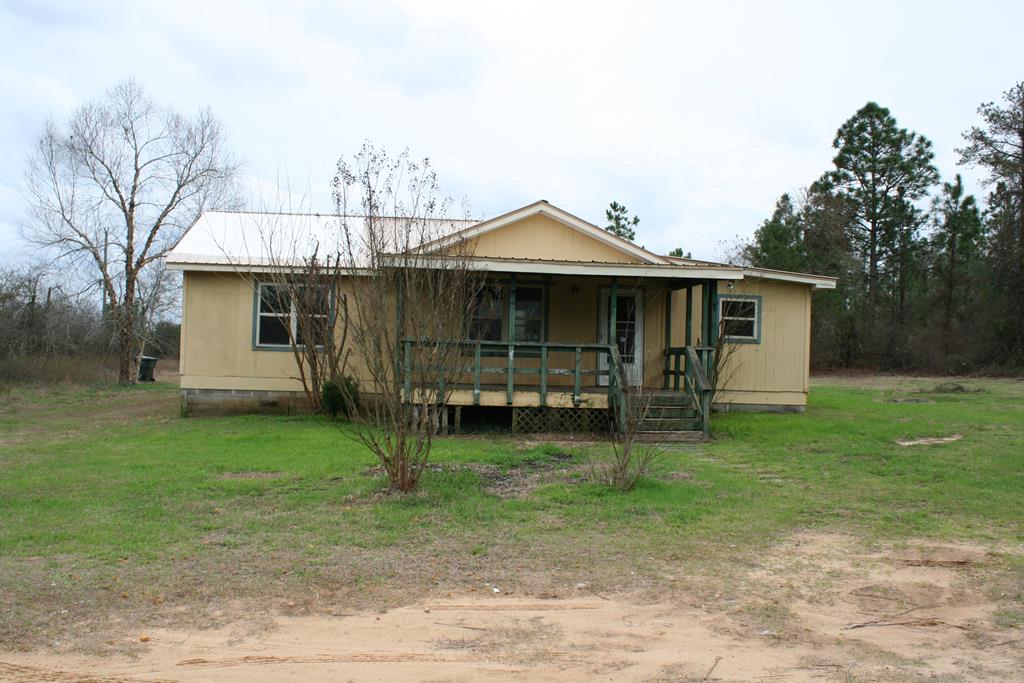 Main View