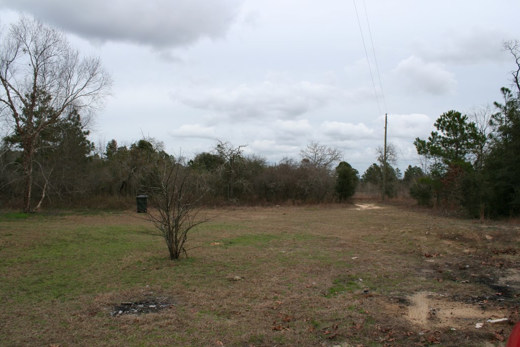 551 Jim Allen Road Box Springs, GA 31801 - Photo 10 of 22 Gallery Image 10
