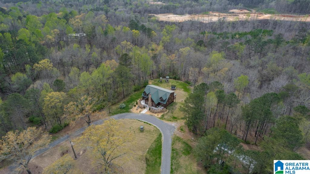 7130 Sellers Road Dora, AL 35062 - Photo 55 of 63