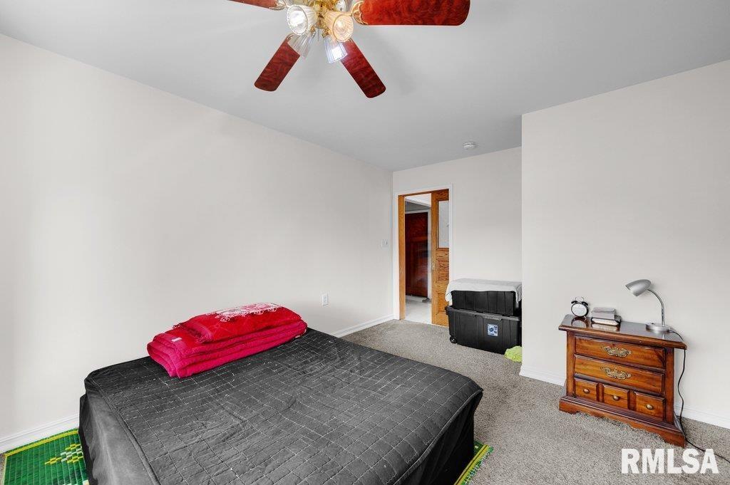 705 13th Street West Milan, IL 61264 - Photo 19 of 31