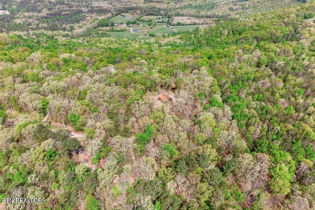751 West Bluff Road Pikeville, TN 37367 - Photo 13 of 19 243828_3