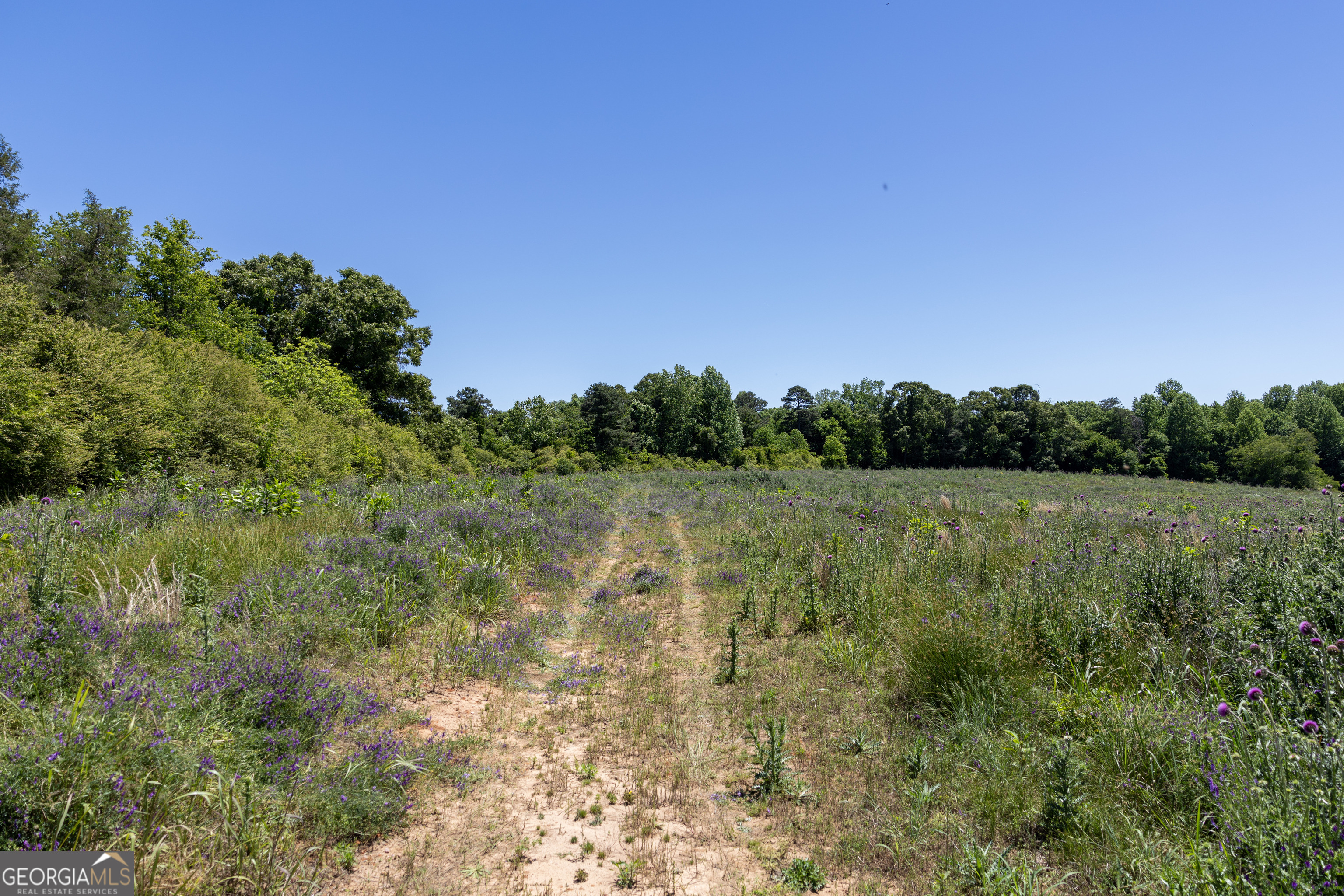 3600 Pea Ridge Road Cornelia, GA 30531 - Photo 8 of 11 a view of a lake with a yard