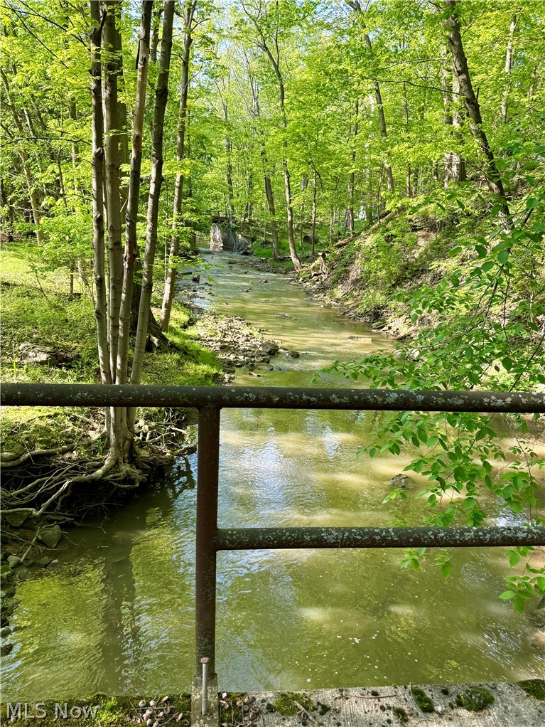 6066 Case Road North Ridgeville, OH 44039 - Photo 18 of 19 View from Easement bridge