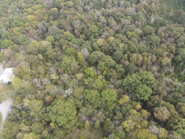 1757 Quarry Road Mount Juliet, TN 37122 - Photo 8 of 11 a view of a dry yard with a tree