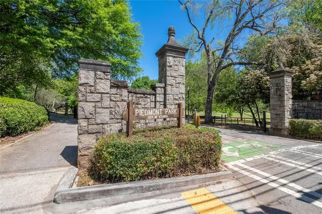 a view of a garden with plants