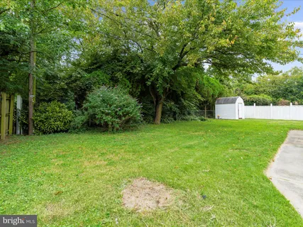 a view of a backyard with a small cabin
