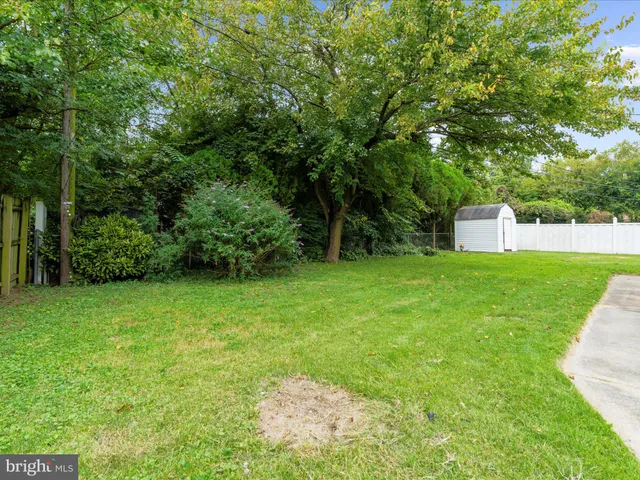 a view of a backyard with a small cabin