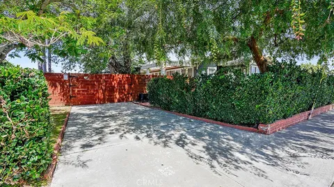 a view of a yard with plants and trees