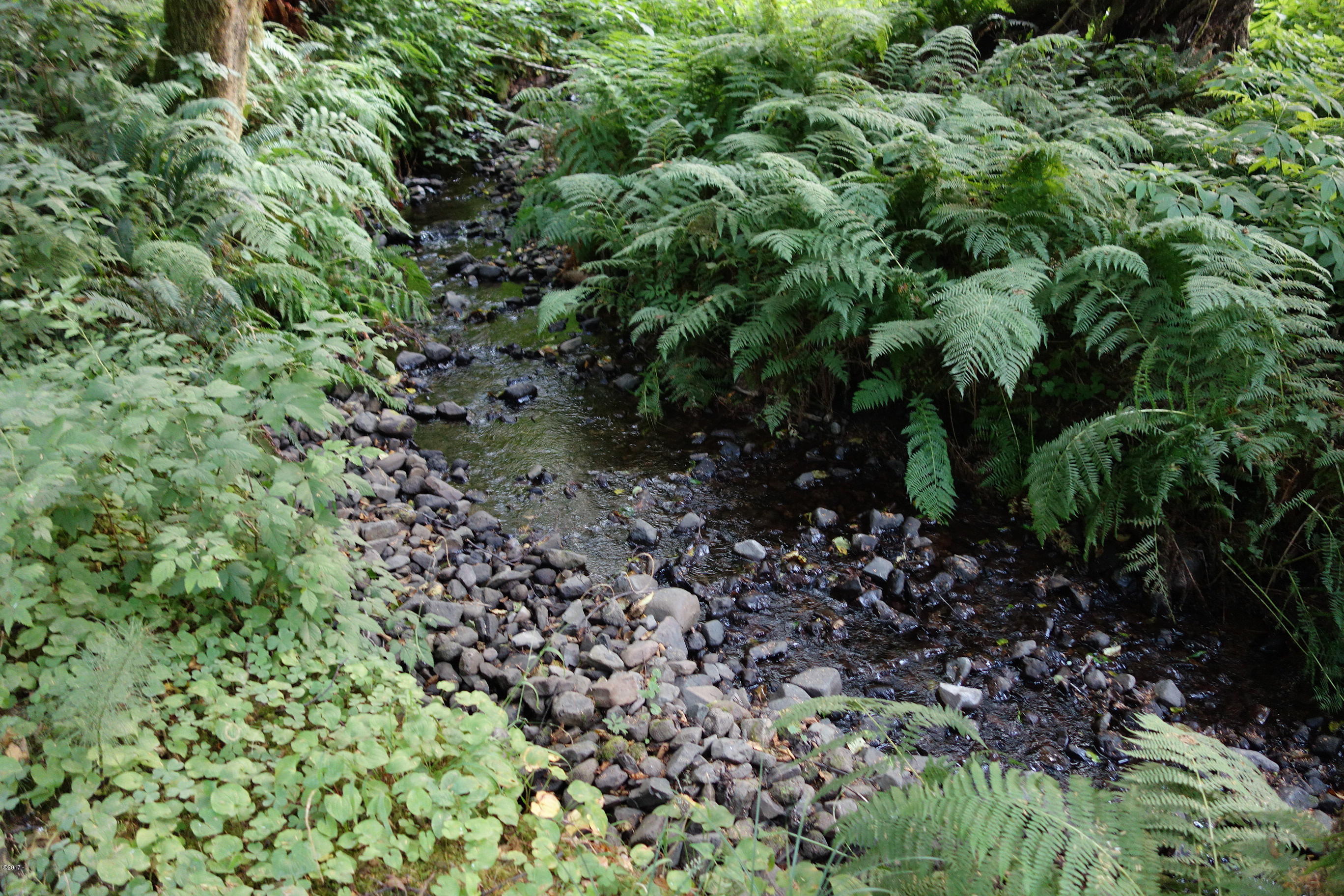 3501 South Beach Road Neskowin, OR 97149 - Photo 6 of 25 Tiny babbling creek