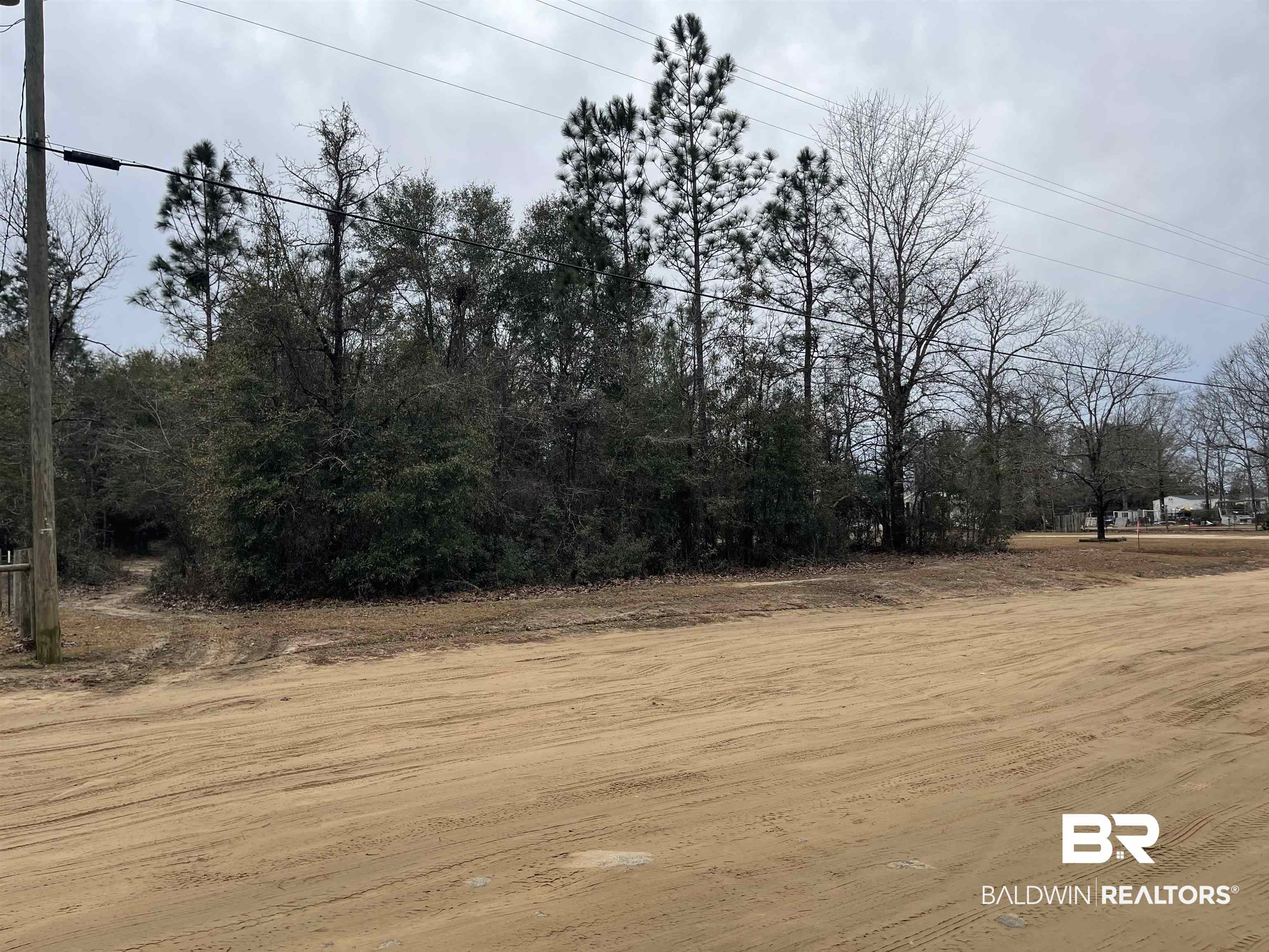 0 Glenwood Farm Road Wilmer, AL 36587 - Photo 3 of 6