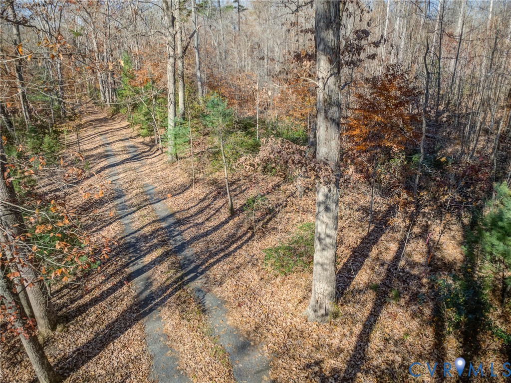 0 Porters Road Esmont, VA 22937 - Photo 4 of 27 Gallery Image 4