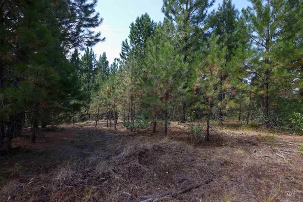 $234,900 | 47 Coit Drive, Cascade, ID 83611