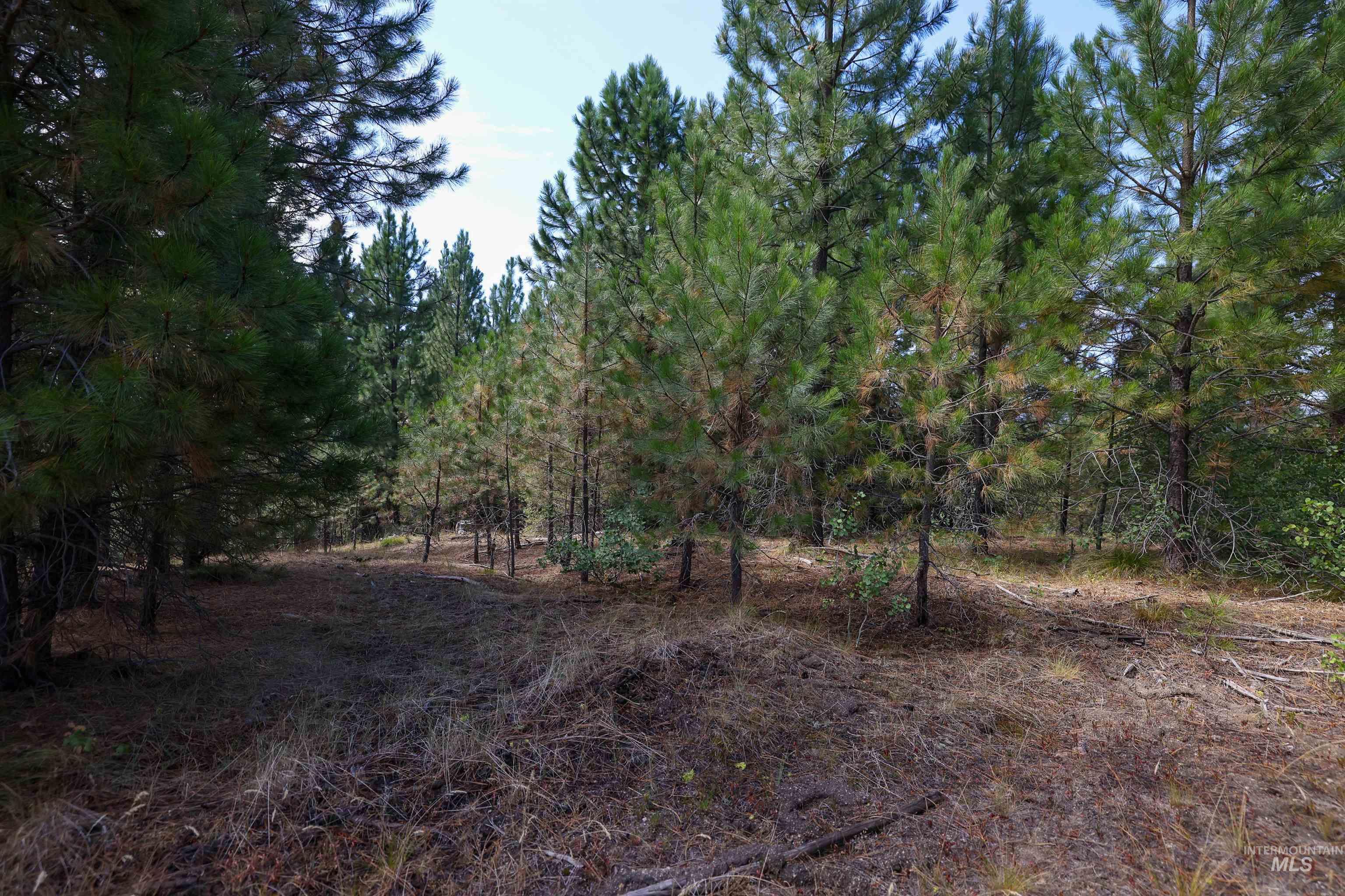 47 Coit Drive Cascade, ID 83611 - Photo 12 of 34 View of nature