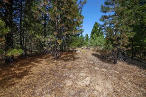 $234,900 | 47 Coit Drive, Cascade, ID 83611