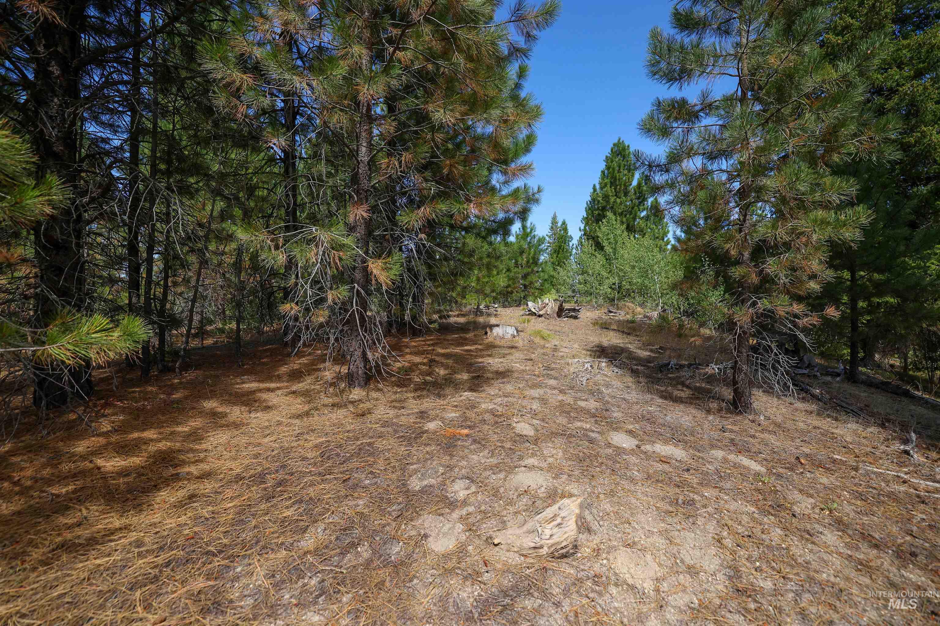 47 Coit Drive Cascade, ID 83611 - Photo 15 of 34 View of local wilderness