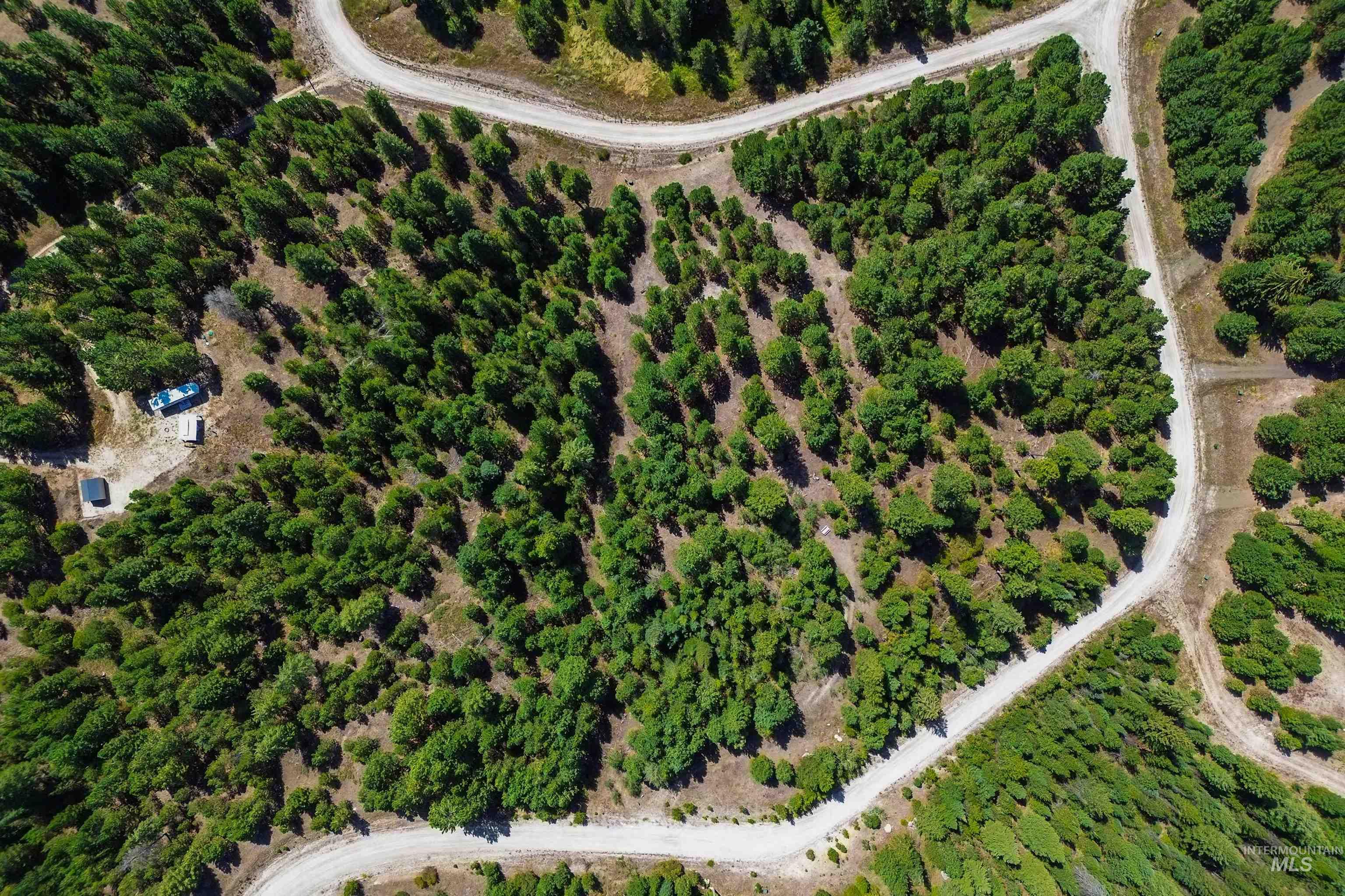 47 Coit Drive Cascade, ID 83611 - Photo 31 of 34 Aerial view of a forest