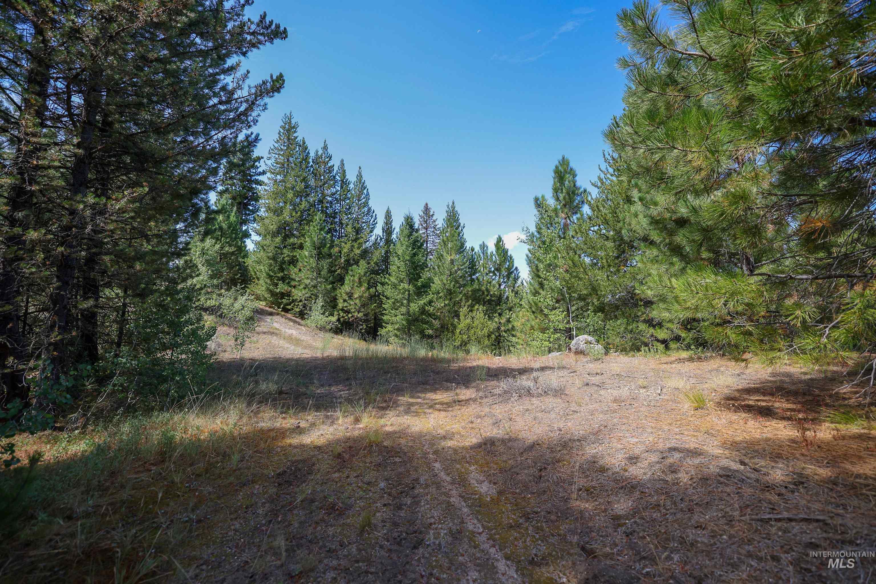 47 Coit Drive Cascade, ID 83611 - Photo 5 of 34 View of local wilderness