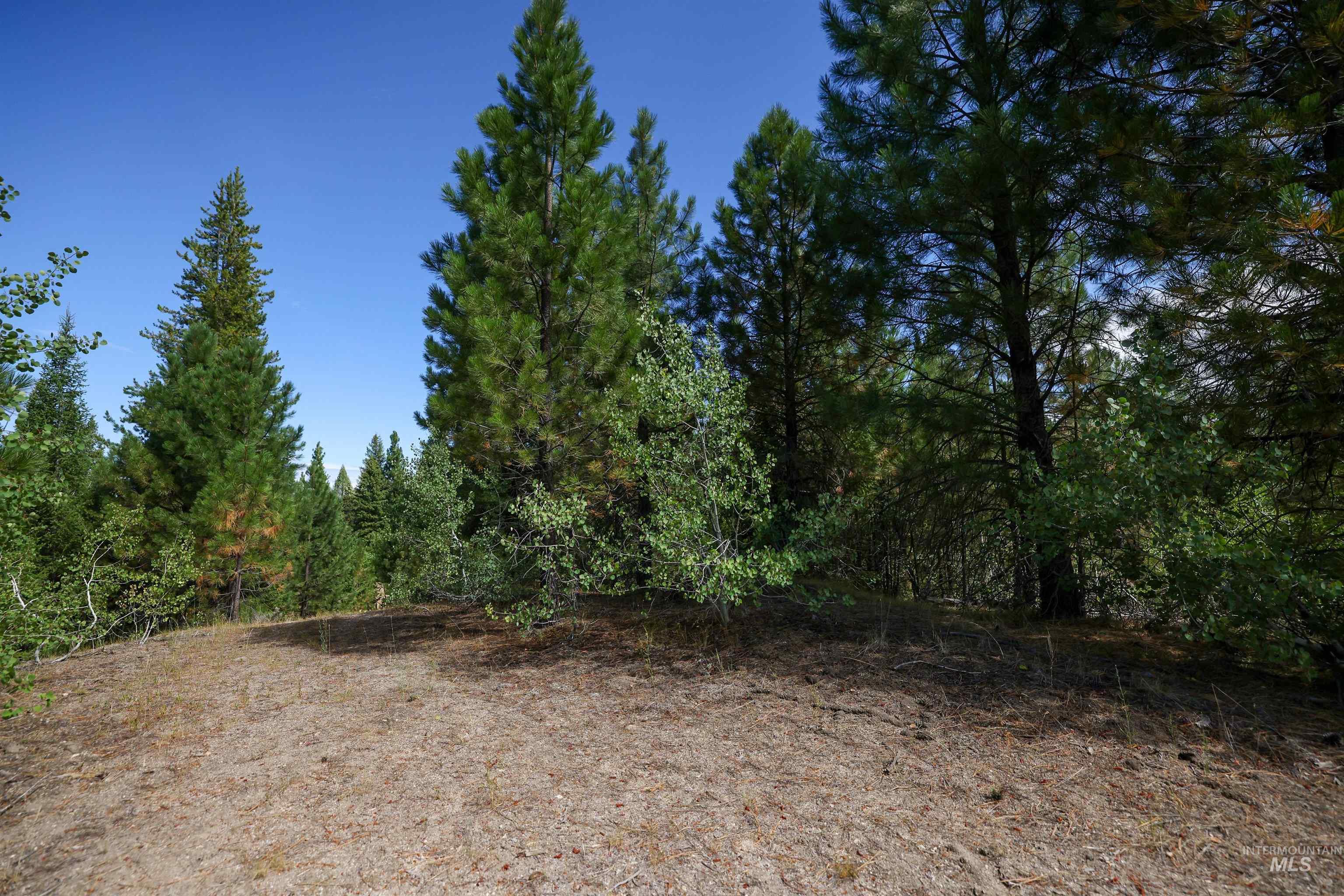 47 Coit Drive Cascade, ID 83611 - Photo 6 of 34 View of undeveloped land