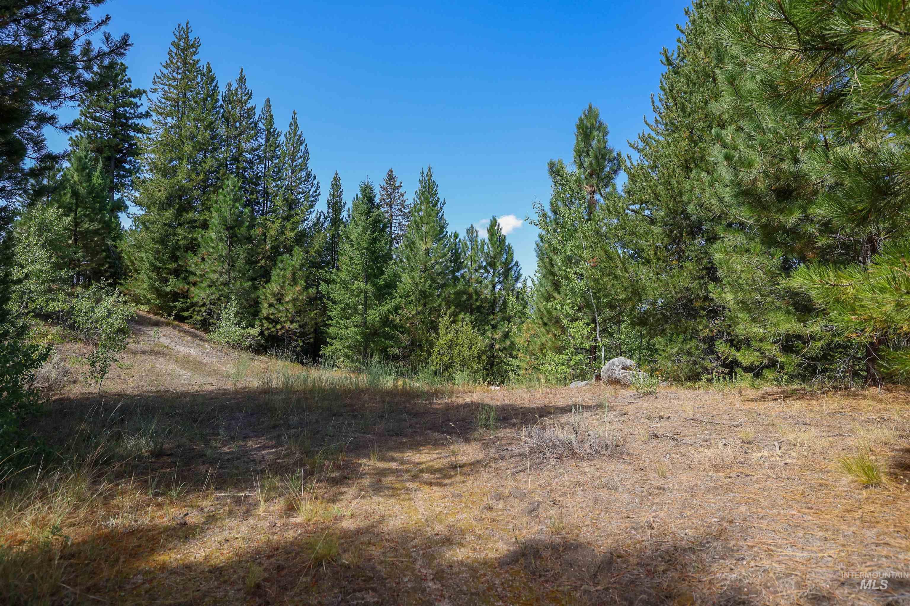 47 Coit Drive Cascade, ID 83611 - Photo 7 of 34 View of local wilderness